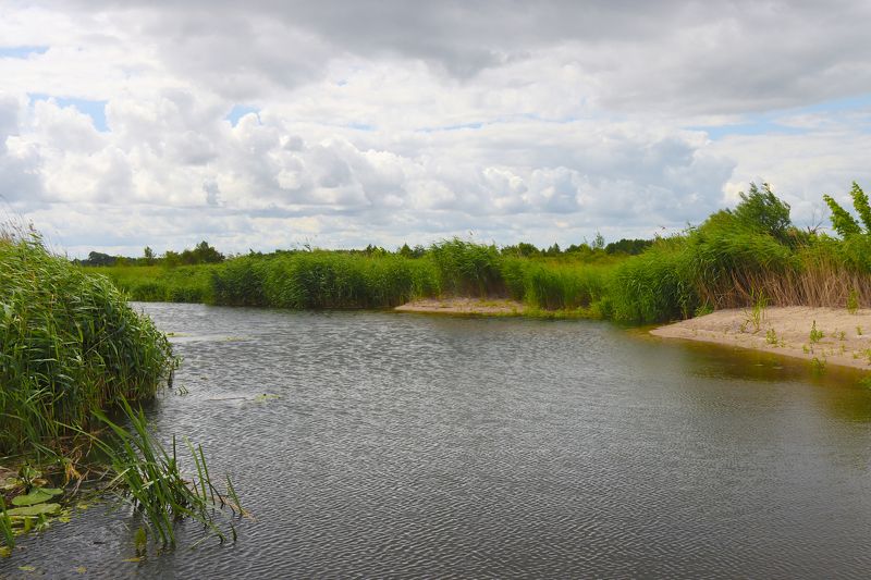 река, лето, пейзаж, небо, вода, Мамоново, Россия, Калининградская область, фотография, природа, river, summer, landscape, sky, water, Mamonovo, Russia, Kaliningrad region, photography, nature Мамоновка. фото превью
