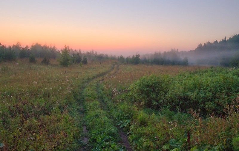 утро, рассвет, восход, поле, дорога, свет, восток, На восток фото превью