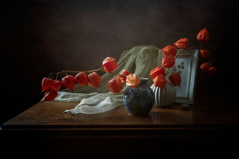 С физалисом фото превью