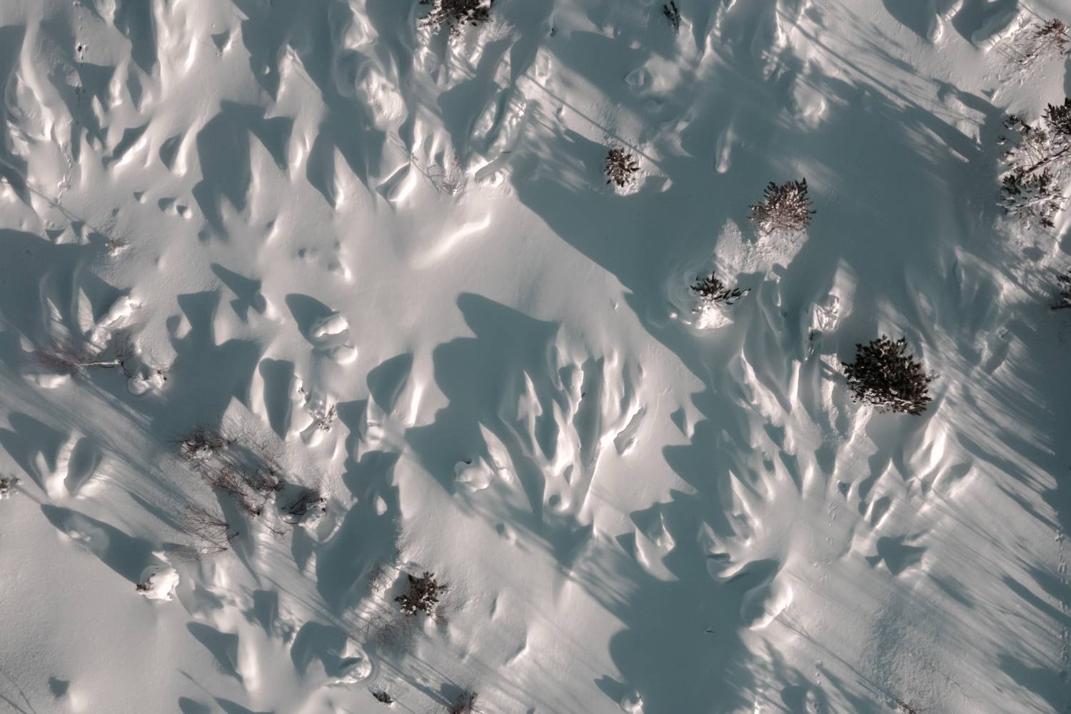 перевал. стланик, уналейский,  бурятия, пыхта, зима, снег, красота, природа, пейзаж, россия, улан-удэ, Денис Лубсанов