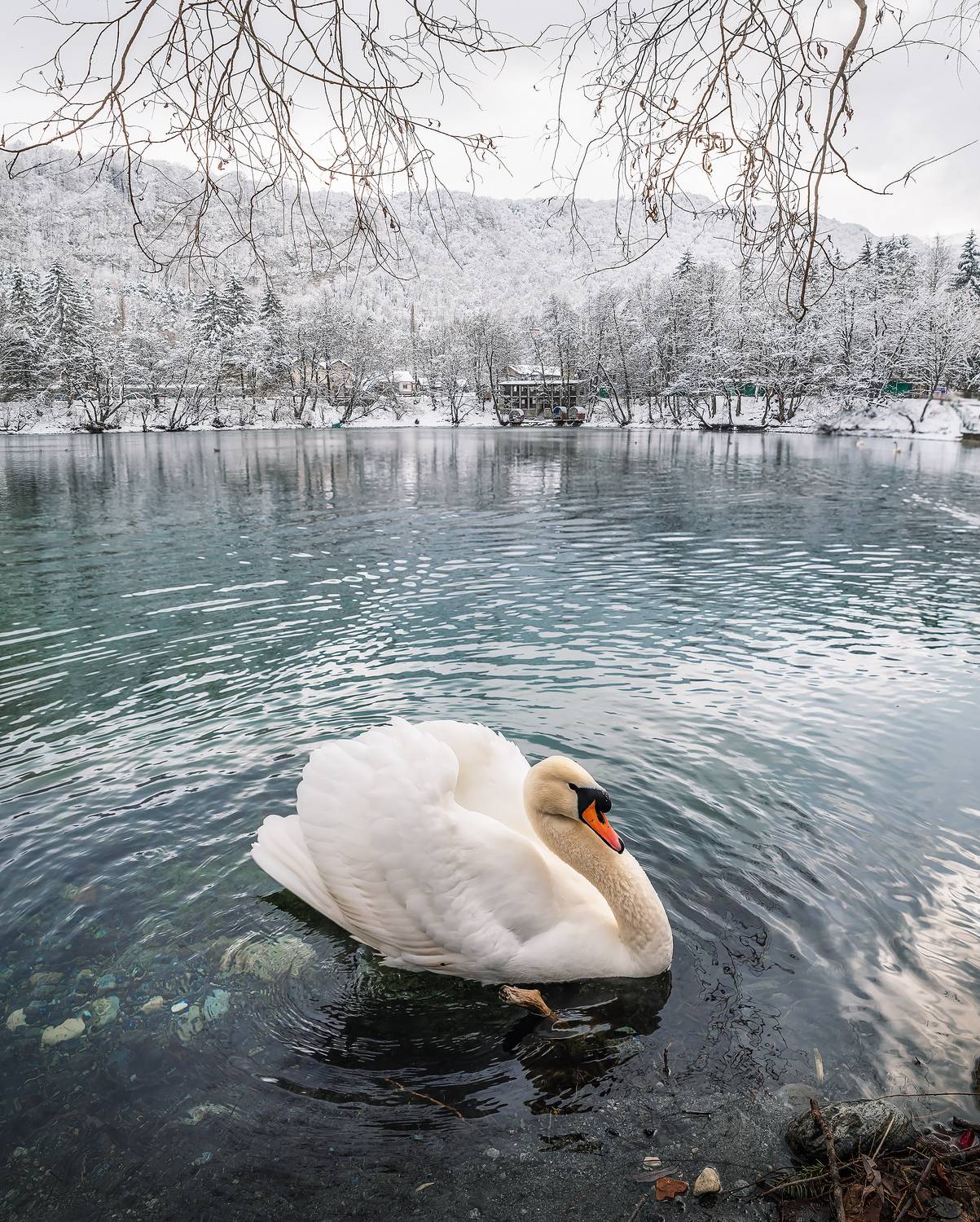кавказ, кабардино-балкария, кбр, горы, озеро, горное озеро, голубые озера, зима, лебеди, Zakharov Armen