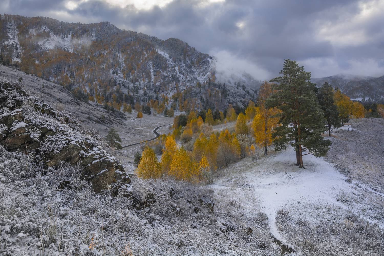 россия, горный алтай,осень, Андрей Поляков