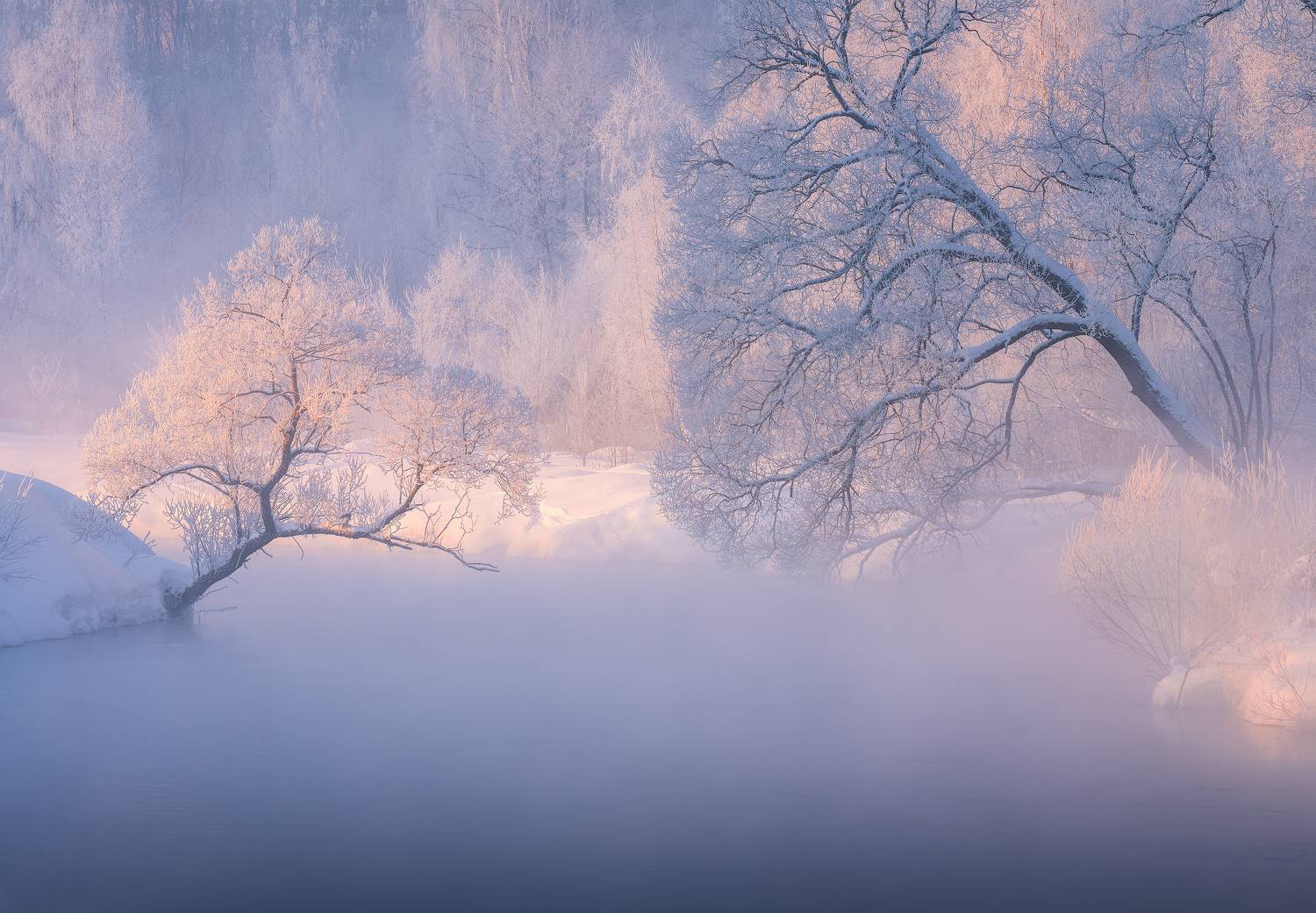 мороз, зима, пейзаж, иней, рассвет, Левыкин Виталий