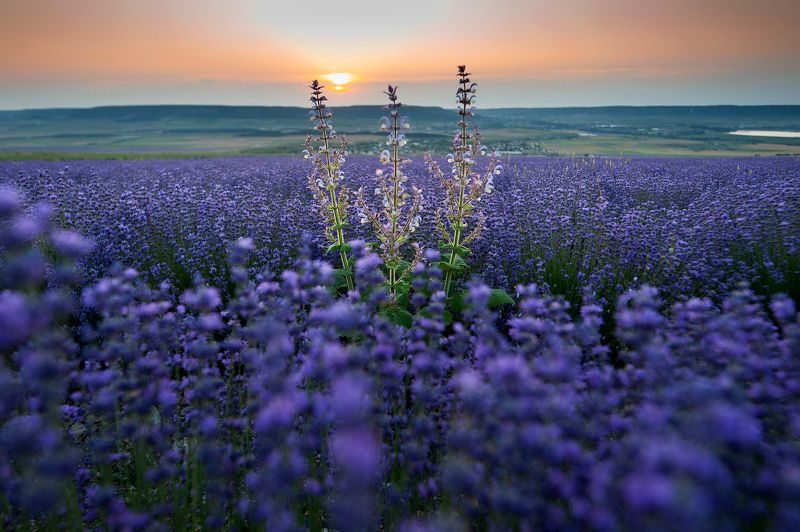 * фото превью