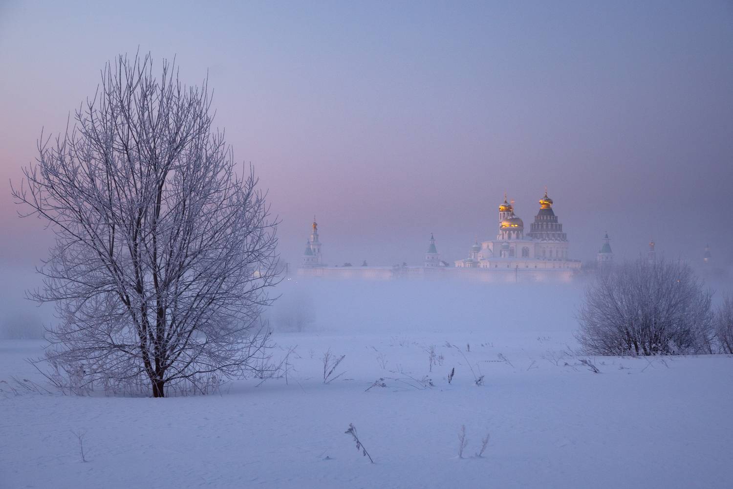 , Стрельчук Александр