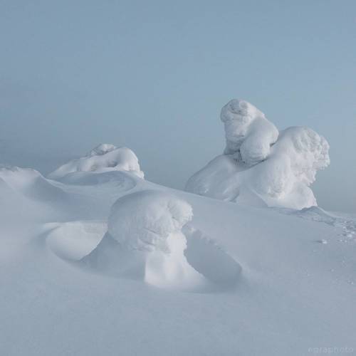 Жители горы Волосяная