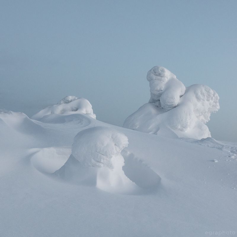 гора, сопка, волосяная, волостная, кольский полуостров, мурманская область Жители горы Волосяная фото превью