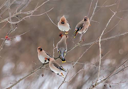 Пятиминутка