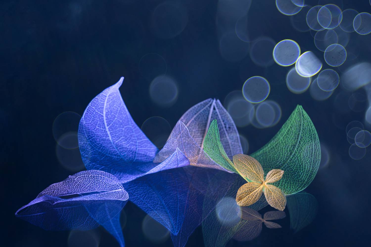 close-up, Игорь Копцев