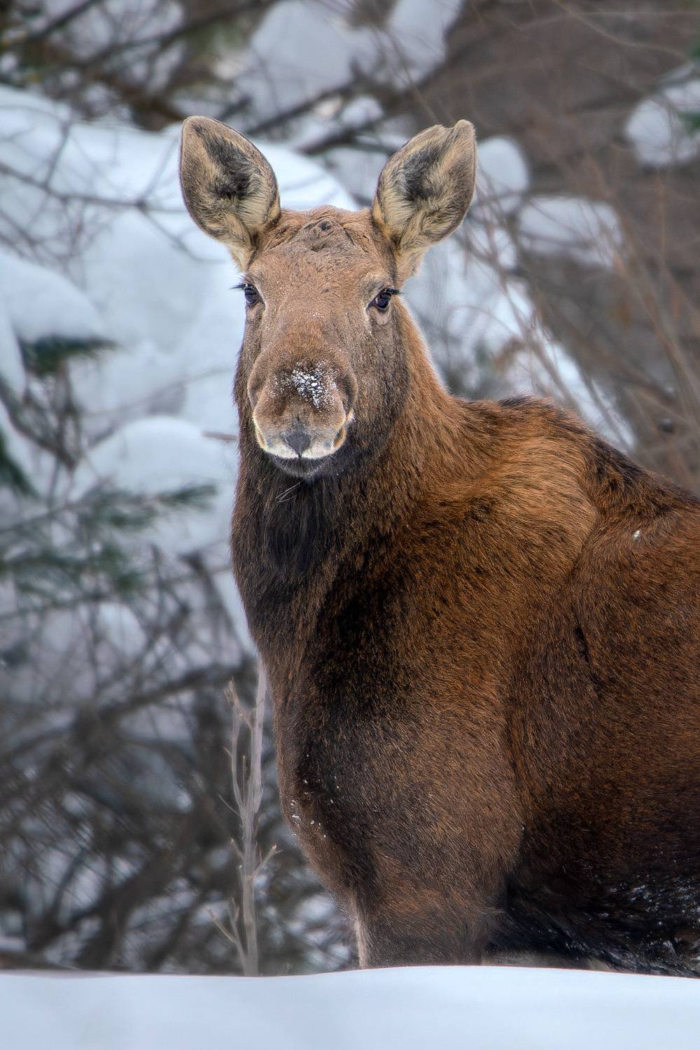 , Тябин Владислав