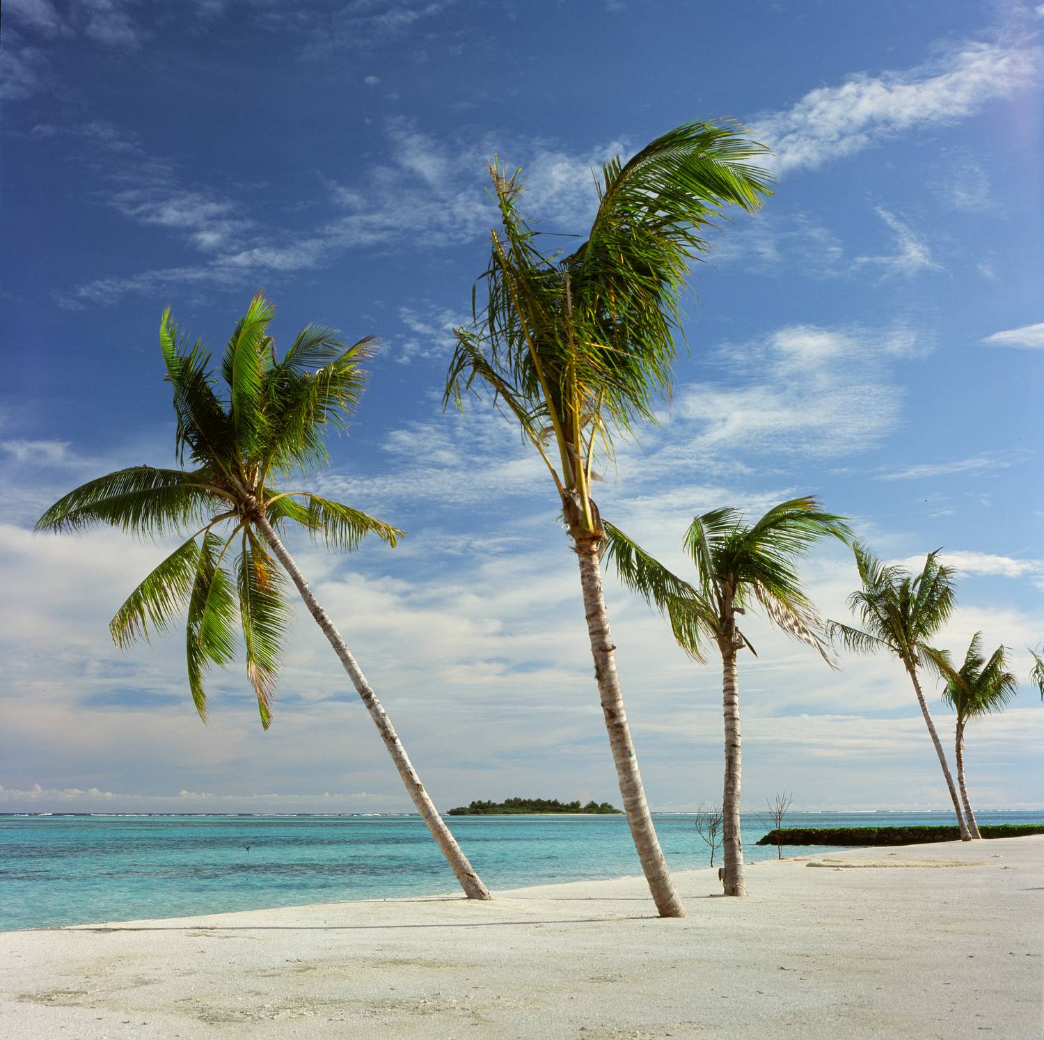 film, analog, analog photo, film photography, пленка, плёночная фотография, medium format, 120mm, 120 film, 6x6, средний формат, bronica, bronica sq-a, Zenzanon, Zenzanon80mm, Fujifilm, Fujichrome, Velvia, Velvia 100, Fujichrome Velvia 100, Fujifilm Velvi, Попов Алексей