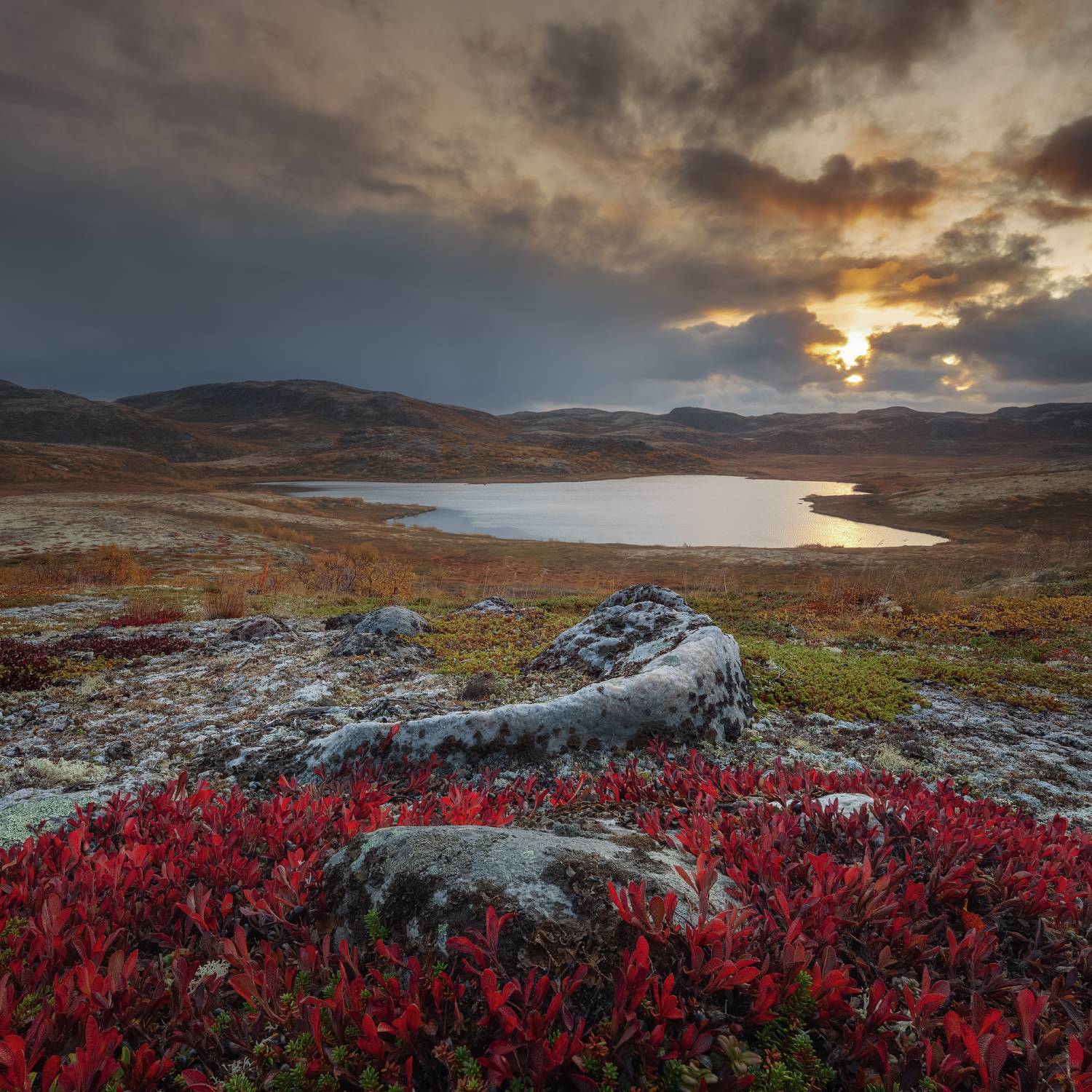 териберка, кольский полуостров, Александр Писарев