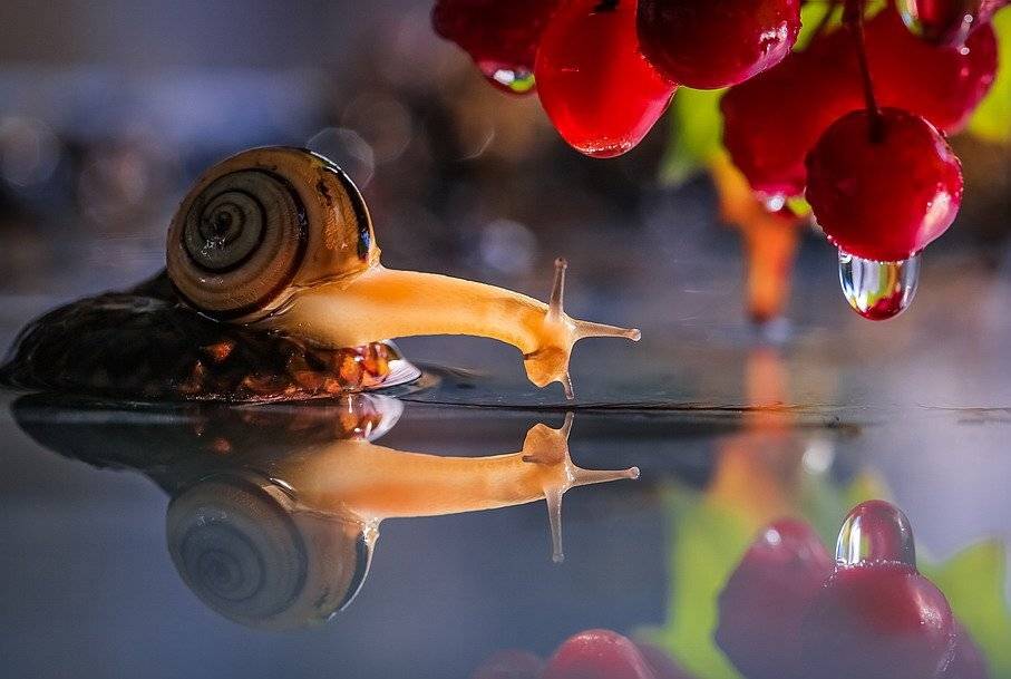 , Вячеслав Мищенко