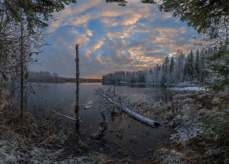 Первый снег, Рассвет, Утро  фото превью