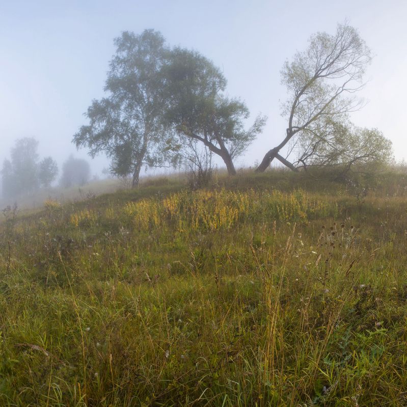 Утро на реке Оке фото превью