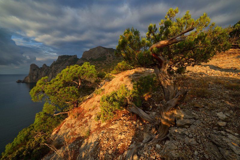 *** фото превью