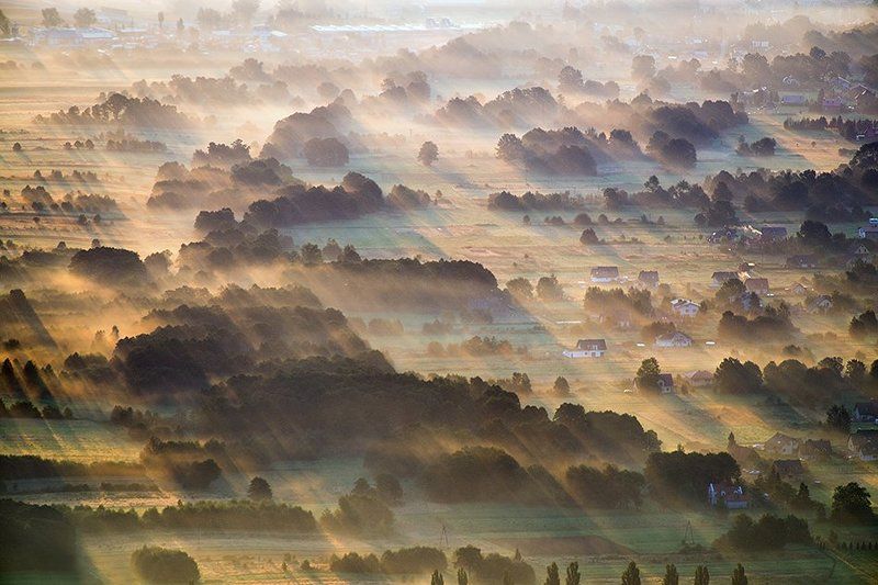 Painted morning фото превью
