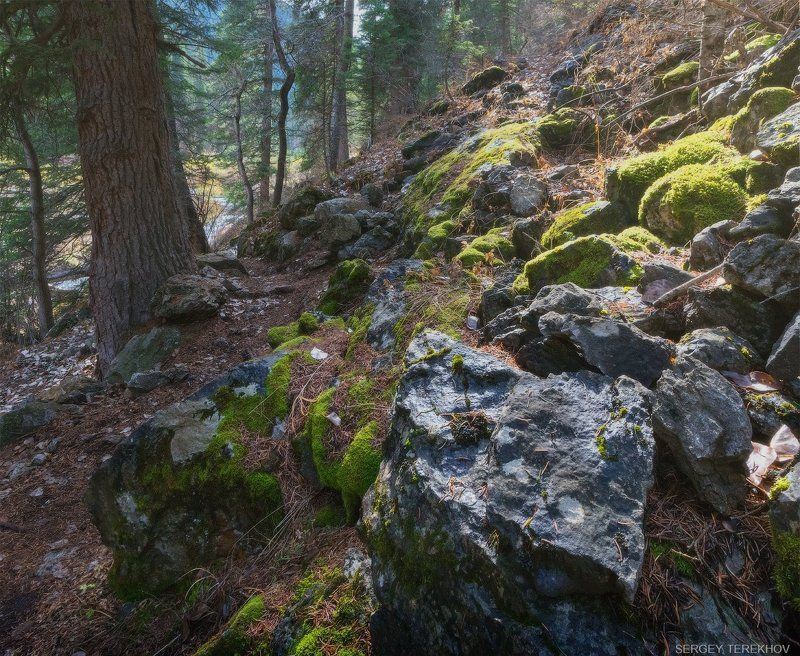 Казахстан, Озеро Кульсай, Тропы, Тянь-шань Тропы Кульсая фото превью