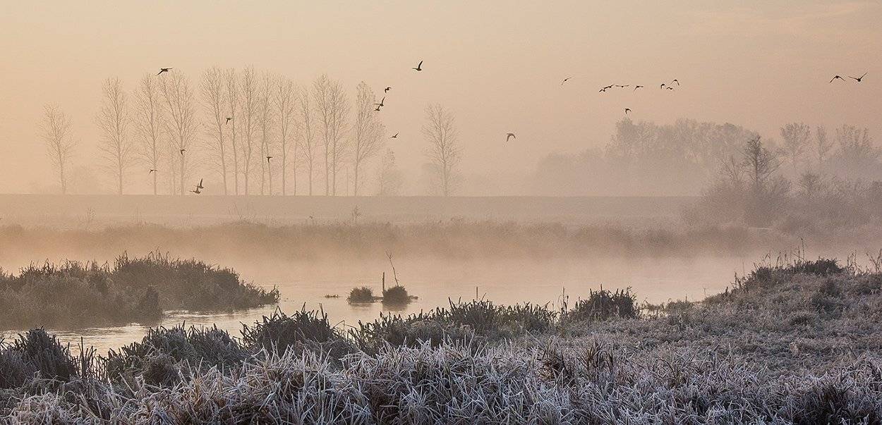 , Pawel Plucinski