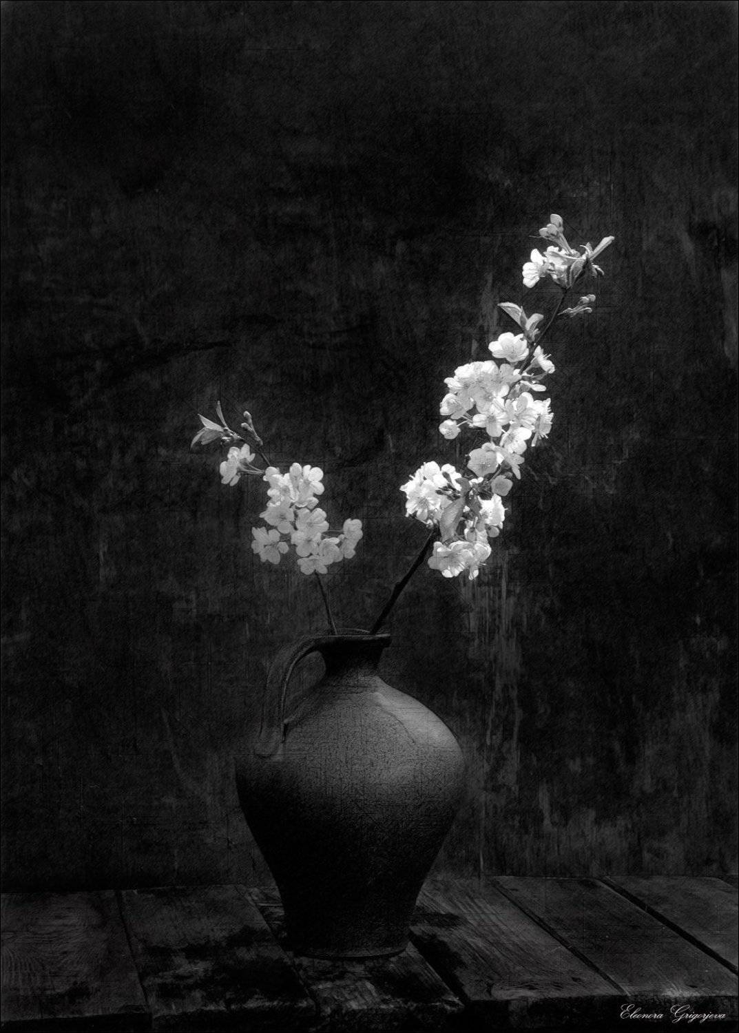 Весна, Монохром, Натюрморт, Цветущая вишня, Ч\б, Eleonora Grigorjeva