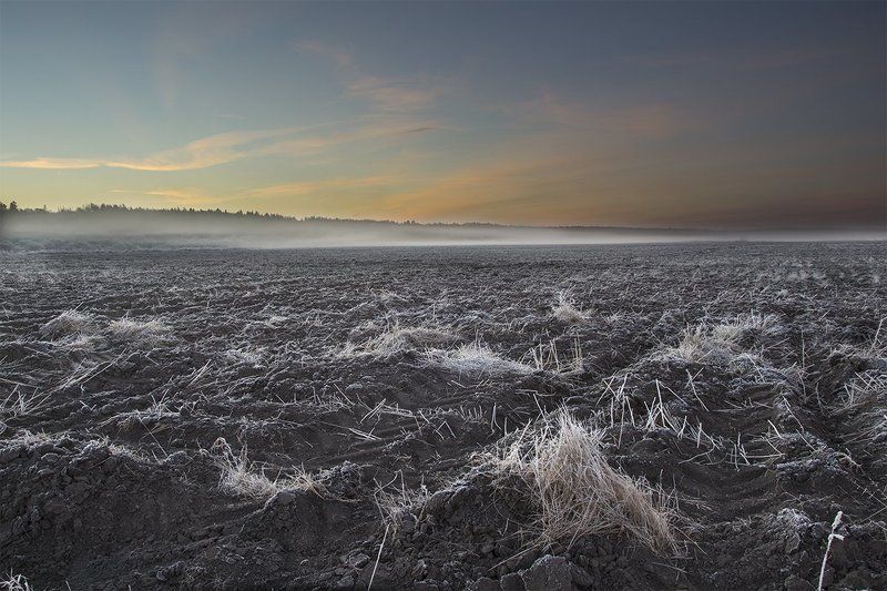поле, россия, природа, тульская область, утро, день, рассвет, небо, иней, туман, Русское поле фото превью