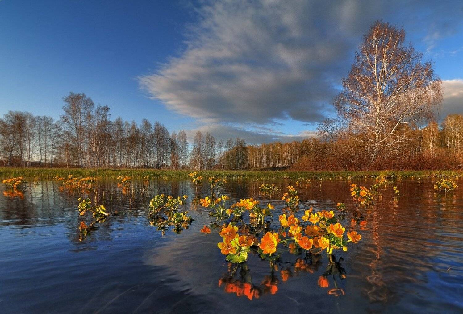, Клековкин Алексей