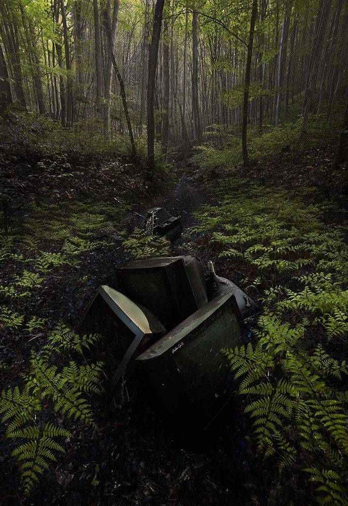 , Дeнис Бoдрoв