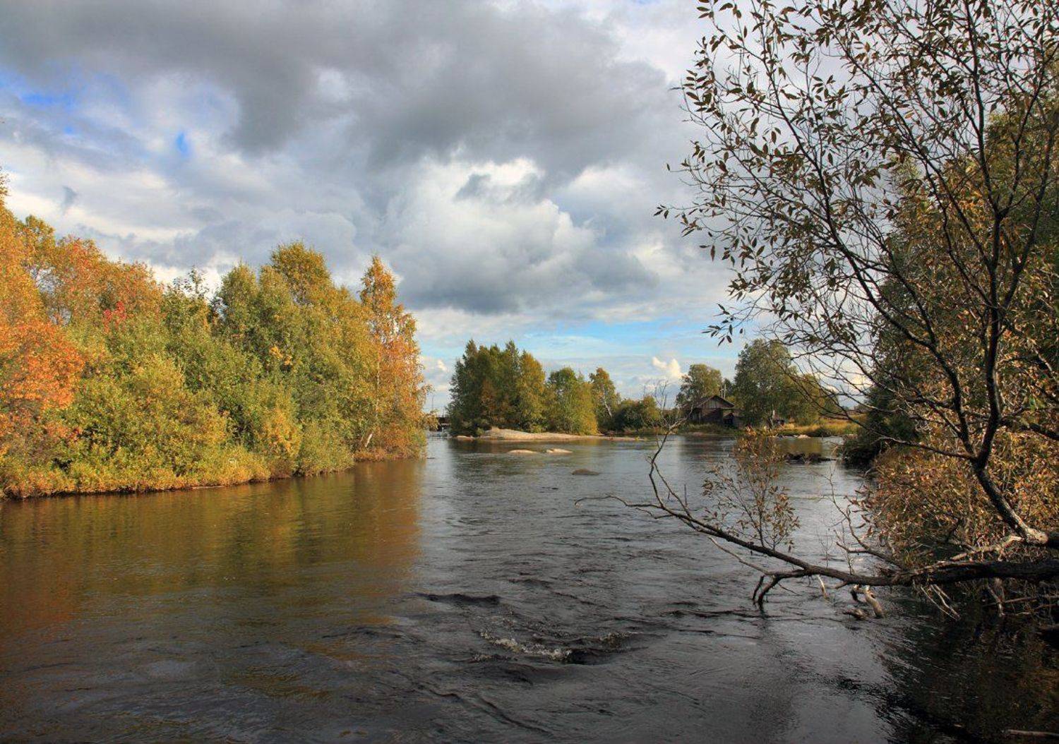 , Андрей Котов