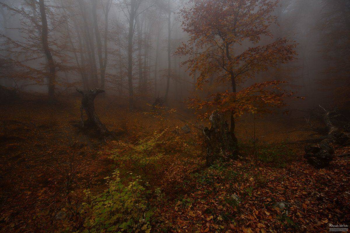 , Victor Lebed