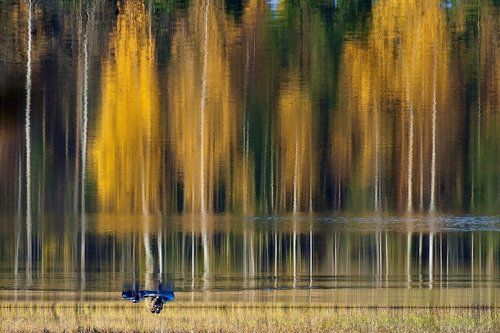 Pro погружение в зазеркалье…