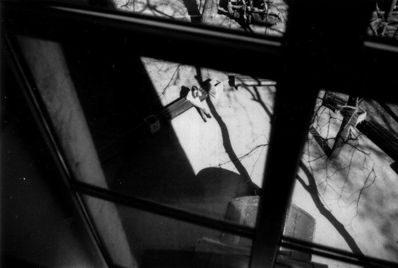 Утренние тени. фото превью