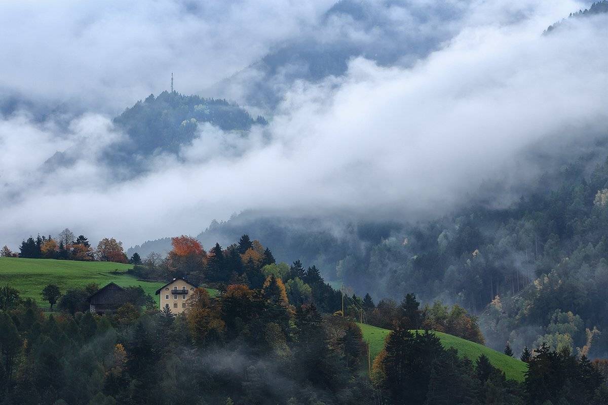 , Игорь Дубровский