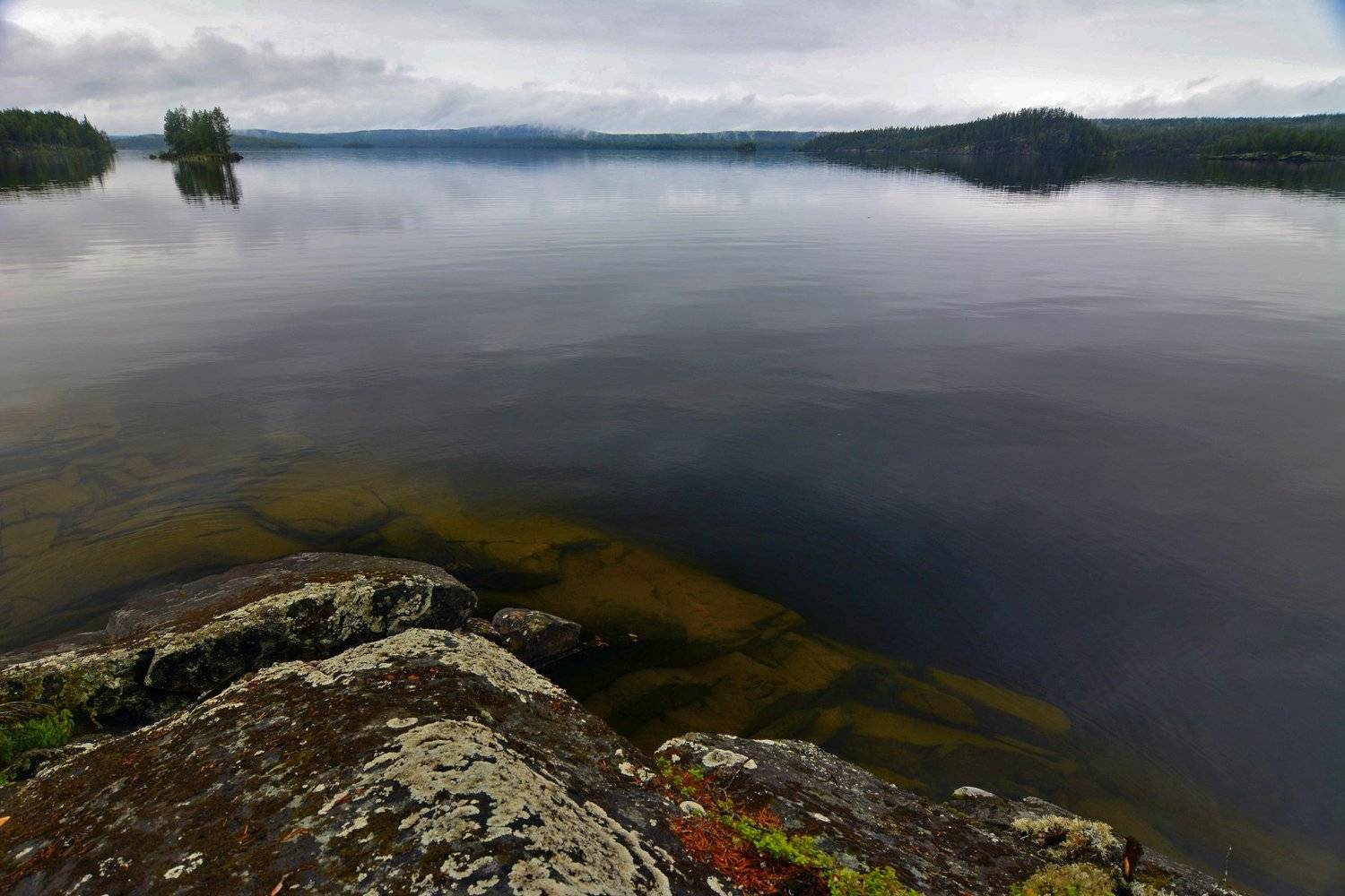 карелия, Денис Воронин