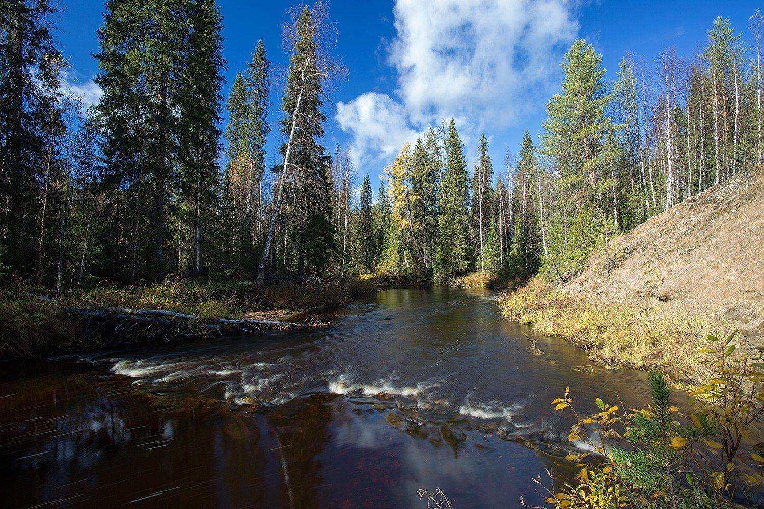 , Поташев Александр