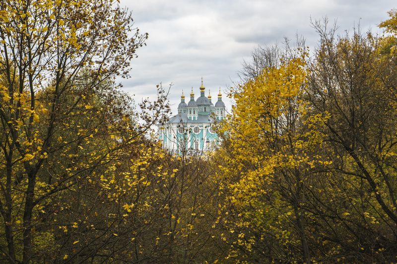 Собор, Смоленск, осень, деревья, пейзаж, город Осенний Смоленск фото превью