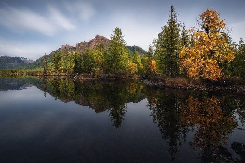 Осенняя тишина… фото превью