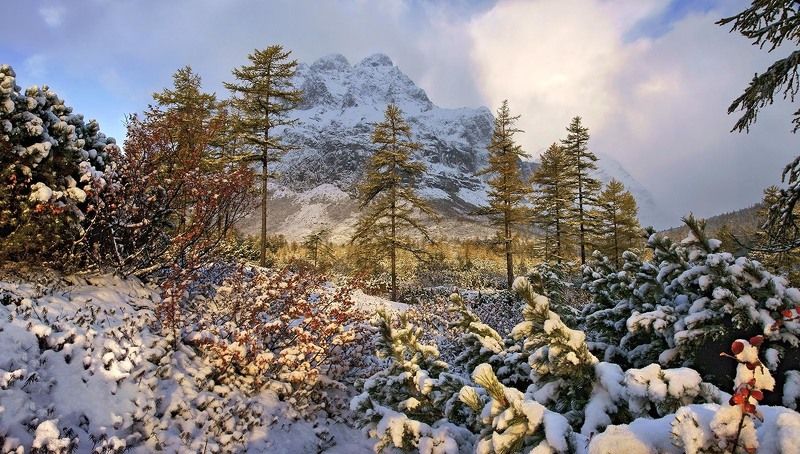 фото превью