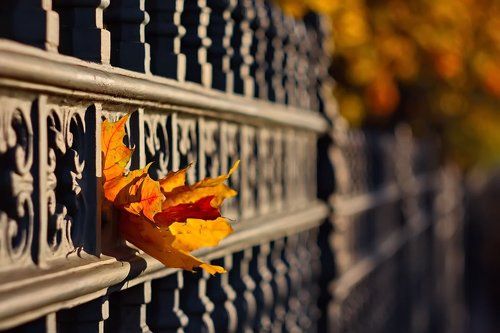 Осенние акценты