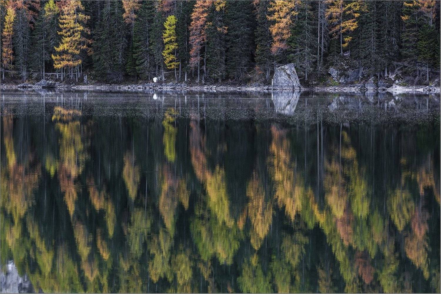 , Владимир K.