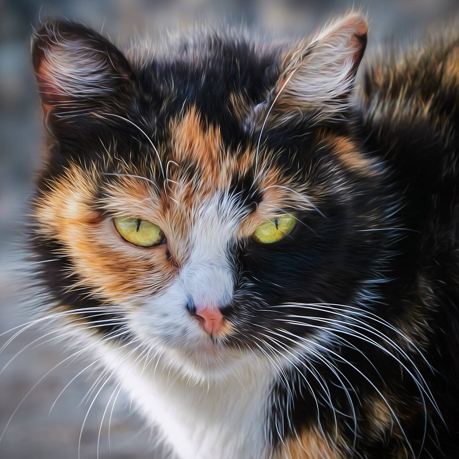 , Олег Богданов