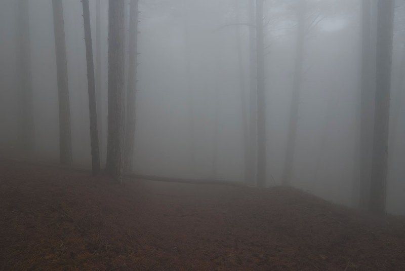 Да я и не собирался... :)  фото превью