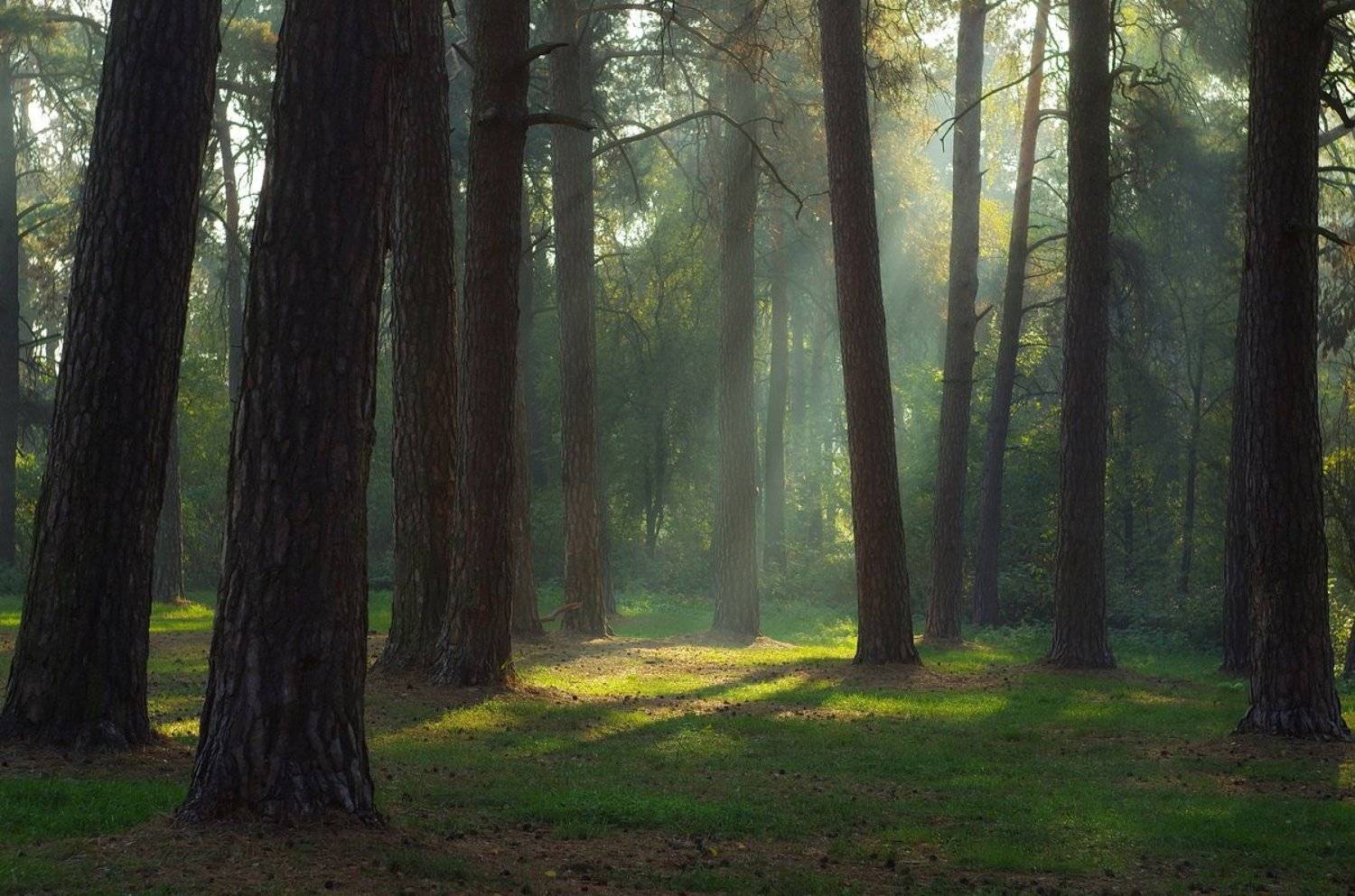 , Сергей Шляга