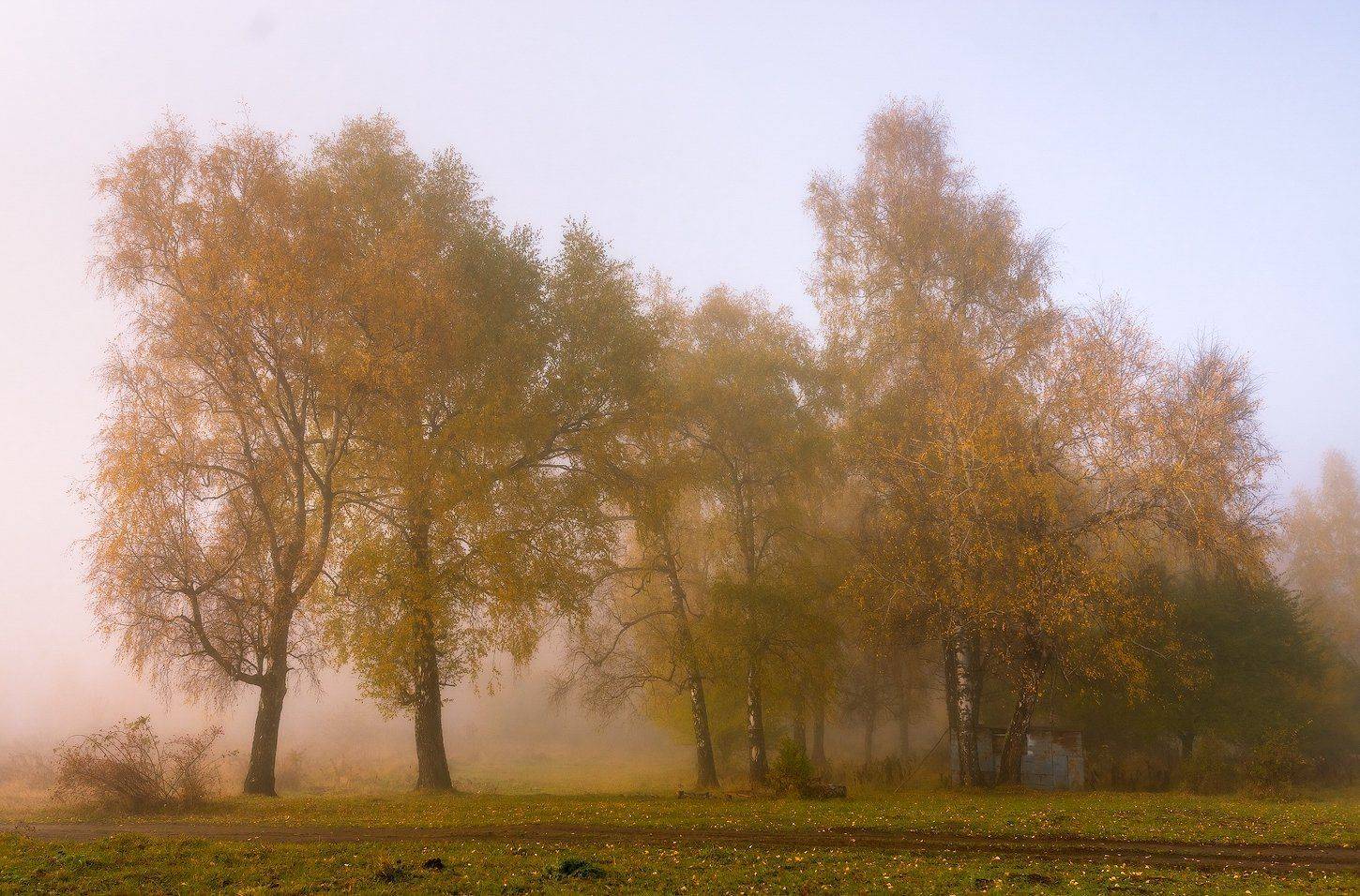 Мезмай, Туман, Олег Скан