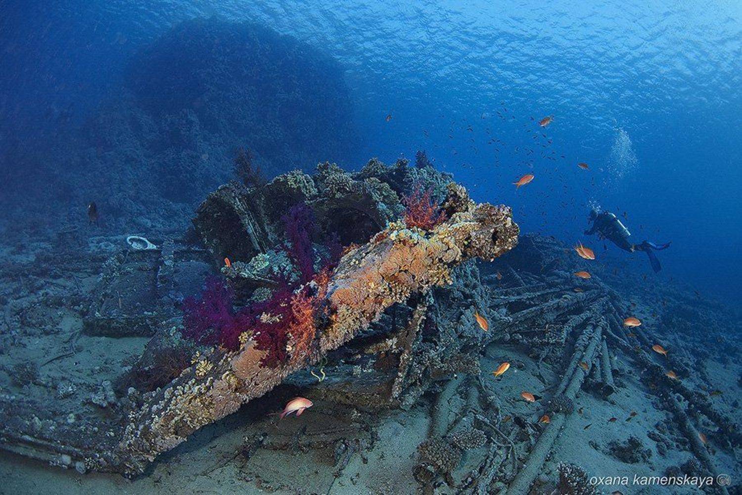 , Оксана Каменская