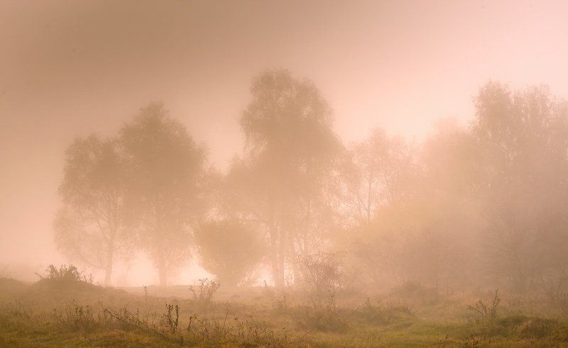 Туманны бывают, закаты в Мезмае фото превью