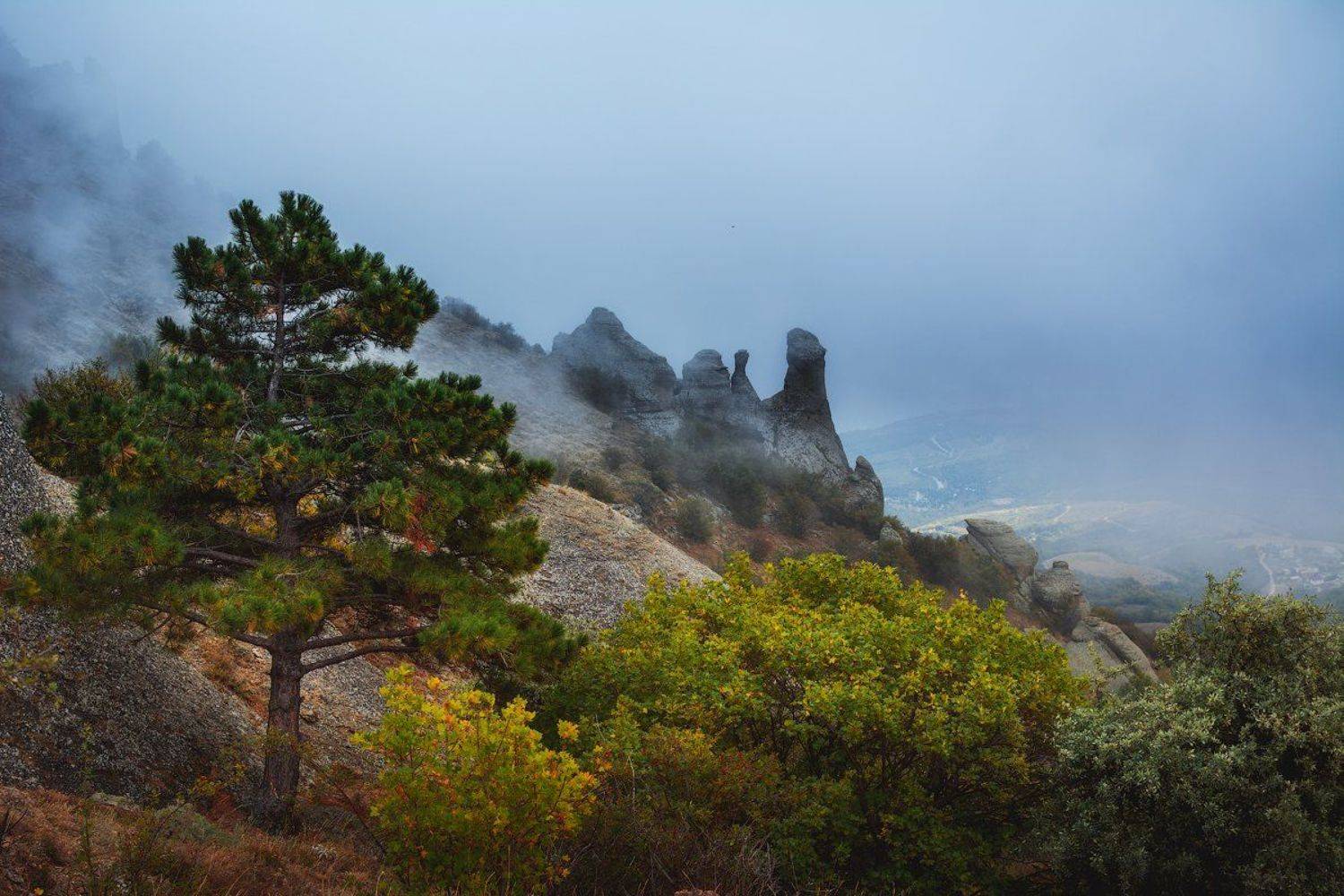 демерджи, крым, Сорокин Олег