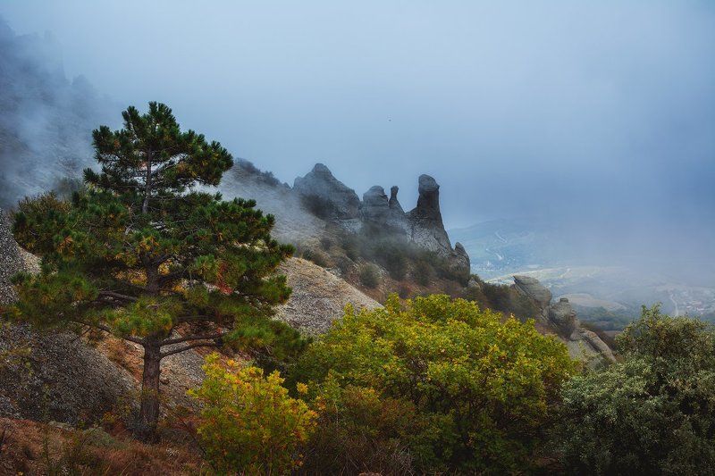 демерджи, крым *** фото превью