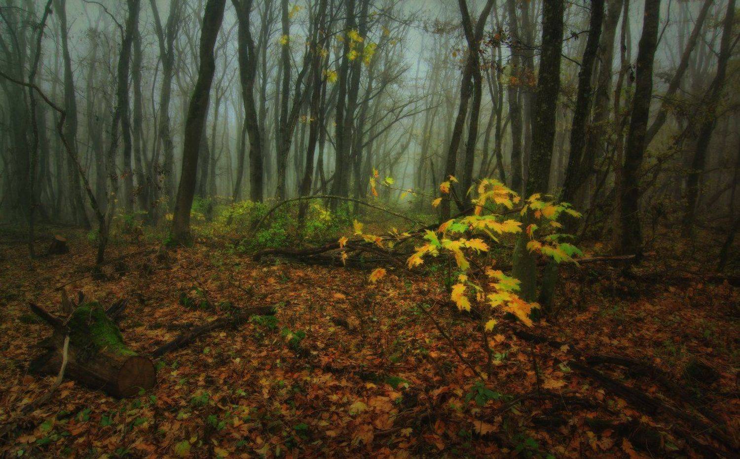 , Михаил  Пилипенко