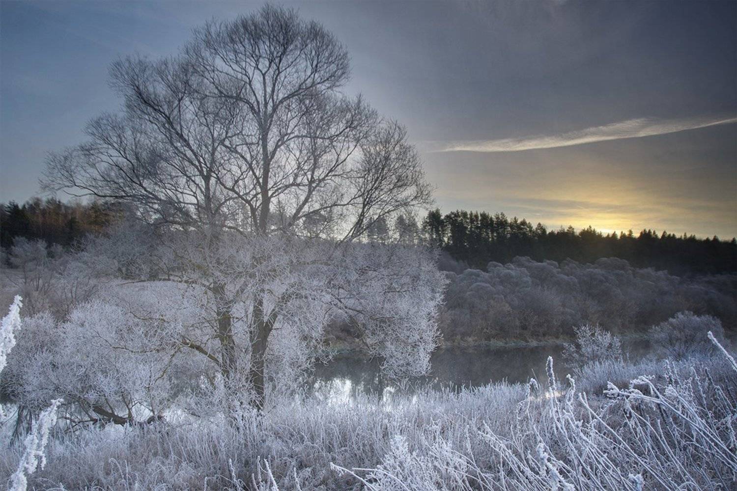 Иней, Ноябрь, Ока, Осень, Рассвет, Река, Тульская область, Туман, Утро, Денис Щербак