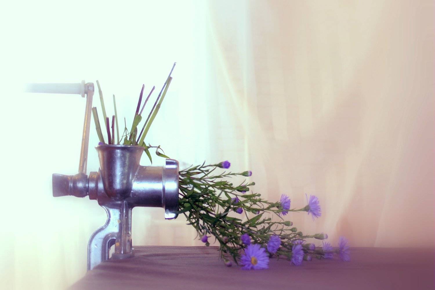 , Оксана Коновалова